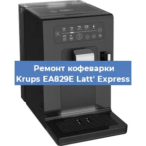 Декальцинация   кофемашины Krups EA829E Latt' Express в Ижевске